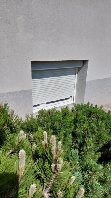 City Lodge Pine, Free Parking Liubliana Exterior foto
